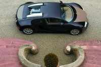 Bugatti Veyron Fbg Hermes (24 фото)