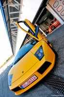 Tuner GP 2008    (66 )