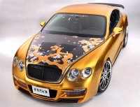 Bentley Continental GT -   800 ..  ASI (9 )