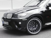 AC Schnitzer    BMW X6 (12 )