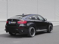 AC Schnitzer    BMW X6 (12 )