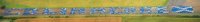    Colin McRae (6 )
