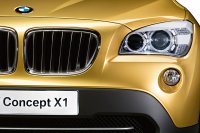    -  BMW X1 (44 )