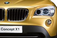    -  BMW X1 (44 )