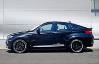 BMW X6 Falcon  AC Schnitzer (19 )