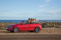 Volkswagen Golf Cabrio    2011