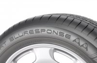 Летняя резина Dunlop Sport BluResponse прошла успешно тест