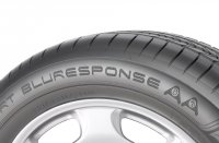   Dunlop Sport BluResponse   